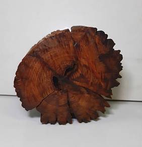 Old Weathered Wood. Kayu Lama