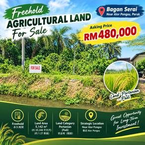 Agricultural Land in Bagan Serai, PRK