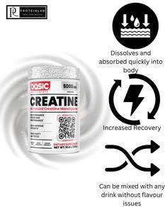 Basic Supplement Creatine Monohydrate -200 serving