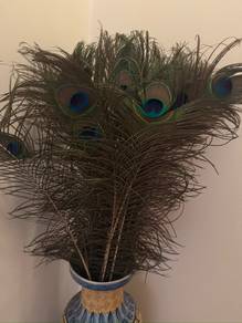 Natural peacock feathers bundle