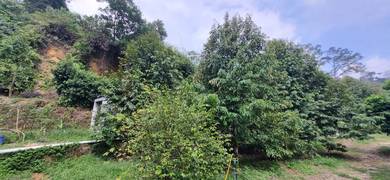 Agricultural Land in Hulu Langat, SGR