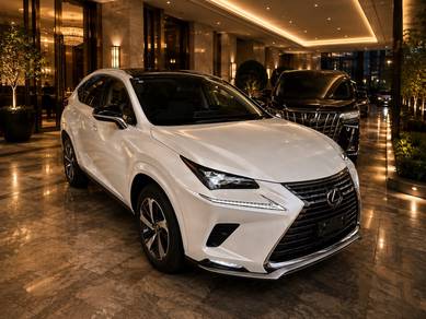 Lexus NX 300 VERSION L in Damansara Kim, SGR