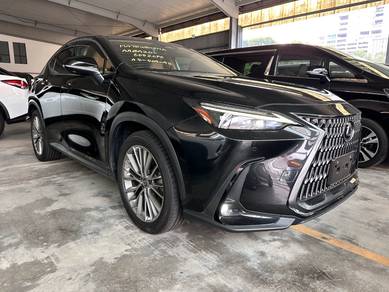 2023 Lexus NX 250 LUXURY