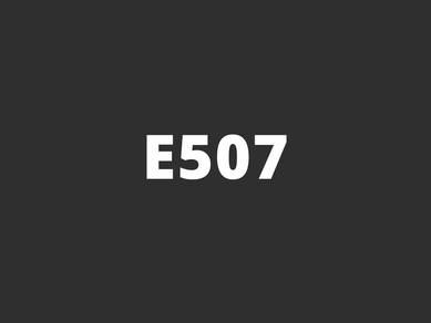 E507