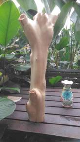 Sandal Timber Wood