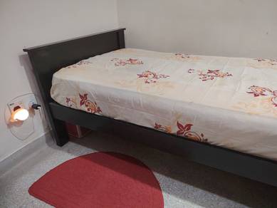 Single Bed (Frame Only - WIthout Mattress)