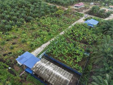 Agricultural Land in Pontian, JHR
