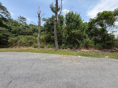 Residential Land in Mantin, NSN