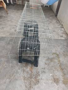 Sangkar ayam penelur