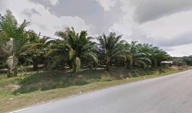 Agricultural Land in Ulu Tiram, JHR