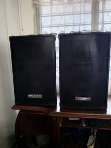 Pro Audio Speaker 10 inci 