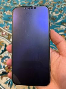 iphone 13 promax