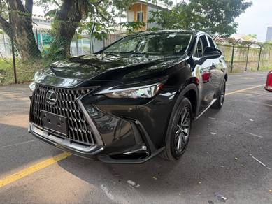Lexus NX 250 LUXURY in Cheras, KUL