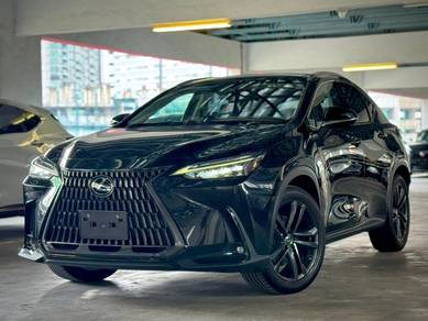 Lexus NX 250 LUXURY in Desa Petaling, KUL