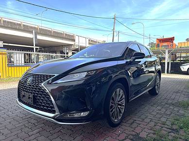2022 Lexus RX 300 LUXURY