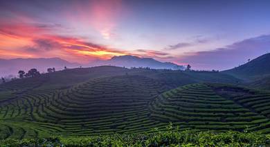 4D3N Padang Highlights Tour Package