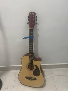 Semi Acoustic Guitar