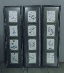 3501 Botanical Art Print frame 3