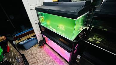 aquarium