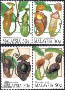 Mint Stamp Pitcher Plant Malaysia 1996