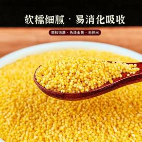 Traditional Shandong Yellow Millet Value Pack