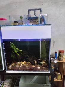 Aquarium 