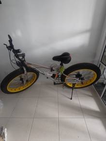 Sexy Fat Tyre Mountain Bike