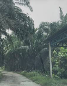 Agricultural Land in Klang, SGR