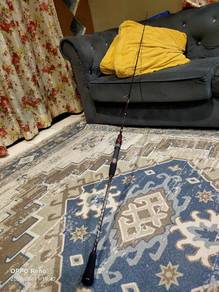 Fishing rod Dan Reel spining 