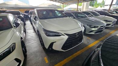 Lexus NX 250 LUXURY in Cheras, KUL