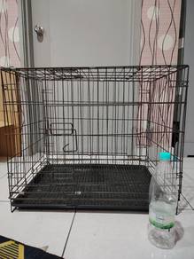 Sangkar kucing