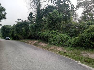 Agricultural Land in Port Dickson, NSN