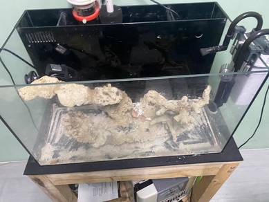 Aquarium Air Masin (Marine Tank)