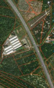 Agricultural Land in Nibong Tebal, PNG