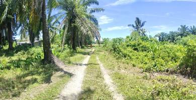 Agricultural Land in Kuala Muda, KDH
