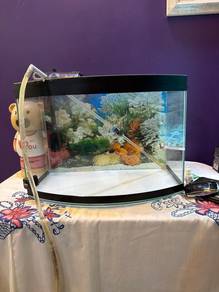 Fish Aquarium set