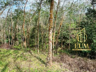Agricultural Land in Kuala Pilah, NSN