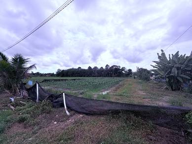 Agricultural Land in Simpang Ampat, PNG