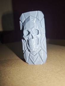 lighter case
