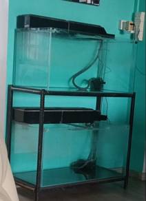 3ft double tank and stand set