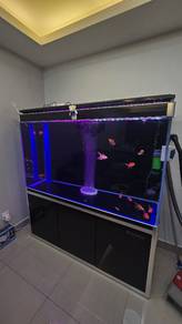 aquarium 