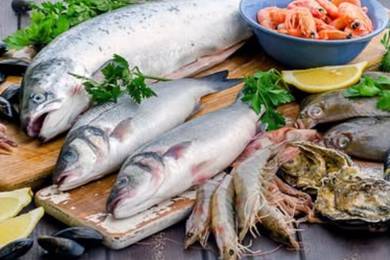 Seafood Import & Wholesale Business for Sale
