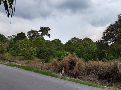 Agricultural Land in Slim River, PRK