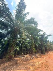 Industrial Land in Pengerang, JHR