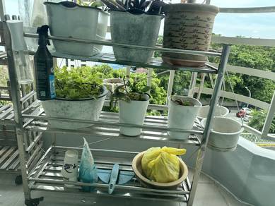 Stainless steel plant shelf with wheels
