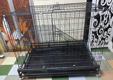 Sangkar kucing saiz besar