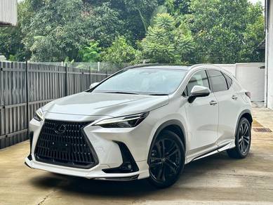 Lexus NX 250 LUXURY in Setapak, KUL