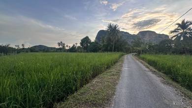 Agricultural Land in Kangar, PLS