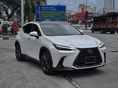 Lexus NX 250 LUXURY in Johor Bahru, JHR