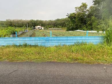 Residential Land in Umbai, MLK